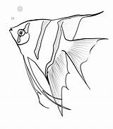Fish Angel Coloring Angelfish Sketch Pages Drawing Printable Color Coloringbay Getdrawings Getcolorings Print Fishing Recommended sketch template
