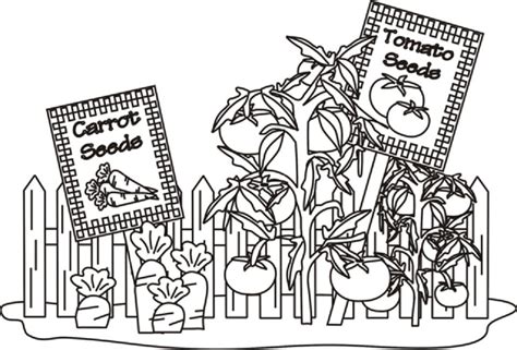 joe blog coloring pages vegetable garden