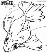 Fish Ray Drawing Getdrawings Coloring sketch template