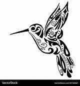 Hummingbird Tribal Colibrí Colibri Aislado Stencils sketch template