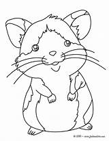 Hamster Hamsters Hellokids Colorir Kooi Mascotas Basteln Colorier Cumbria Gerbi Raton Ausmalbilder Coloriages Downloaden Ligne Ausmalen Dieren Uitprinten Línea Aleatoria sketch template
