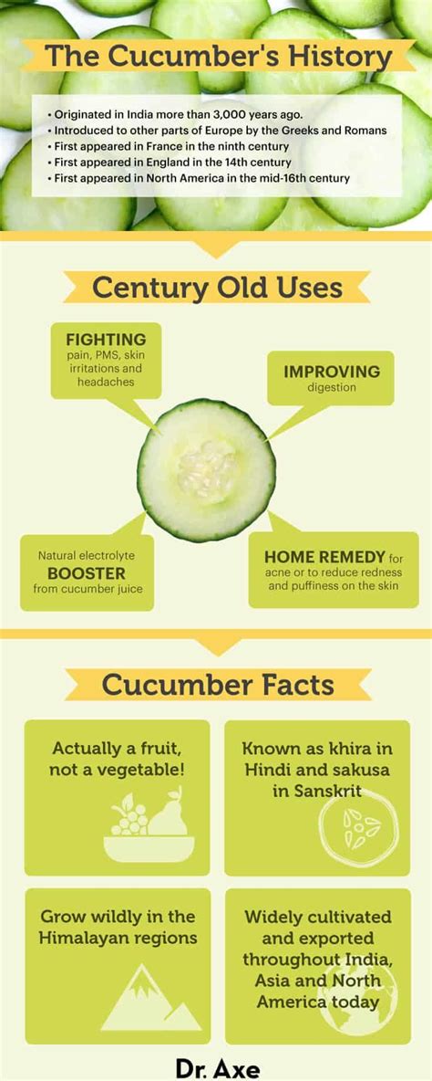 cucumber nutrition health benefits recipes and more dr axe