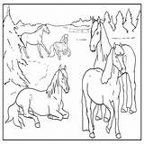 Kleurplaat Paarden Manege sketch template