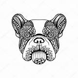 Bulldog Face French Dog Zentangle Doodle Drawn Stylized Hand Illustration Ve Stock Vector Georgia Drawings Coloring Animal Bulldogs Pages Drawing sketch template
