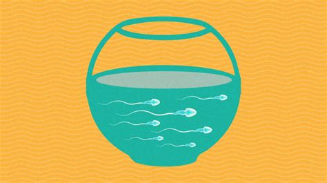 The 7 Step Checklist To Healthy Fertile Sperm