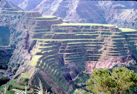 The Maligcong Rice Terraces Luzon Island Philippines Espagne Capitale