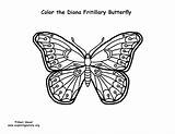 Diana Coloring Butterfly Fritillary Pdf sketch template