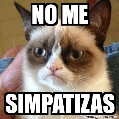 meme grumpy cat   simpatizas