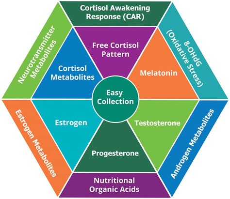 the dutch test for assessing adrenal and sex hormone function