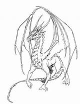 Dragon Fire Drawing Drawings Getdrawings Paintingvalley Collection sketch template