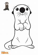 Loutre Otter Otters Dory sketch template