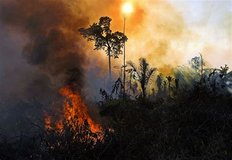 economic drivers   amazon fires brink