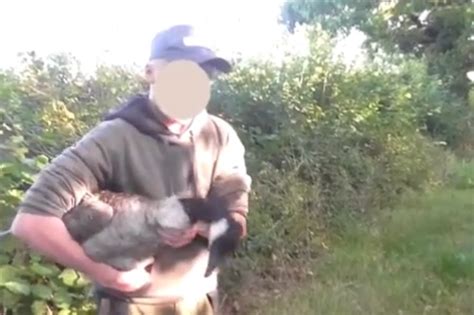 warning disturbing video shows atherstone hunt steward simulating sex