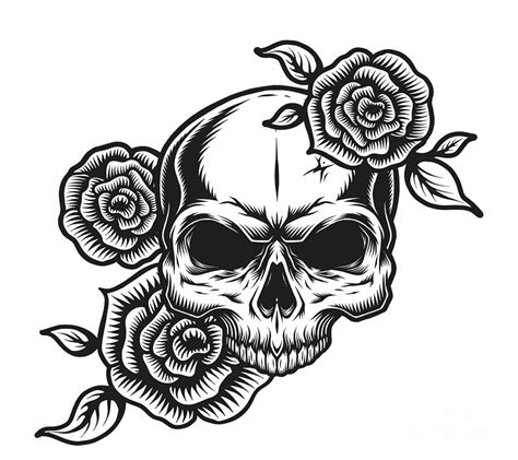 white skull  rose digital art  noirty designs fine art america