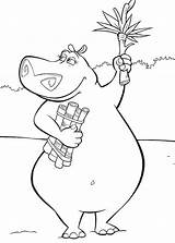 Coloring Pages Hippogriff Hippo Printable Getcolorings Getdrawings sketch template