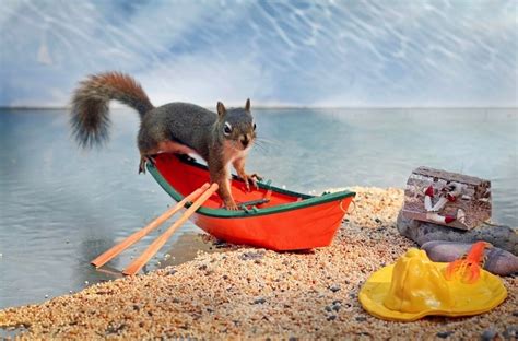 9 Things The Squirrels Are Up To These Days