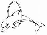 Dolphin Coloring Pages Bottlenose Dolphins Printable Drawing Clipart Colouring Print Kids Getdrawings Library Line Animals Tail Cliparts sketch template