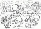 Coloring Country Pages Animals Farm Livestock Scene Group Big Popular Coloringhome sketch template