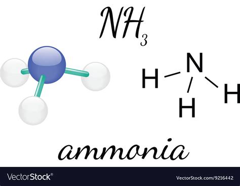 nh ammonia molecule royalty  vector image