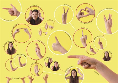 hand signs  gestures    express