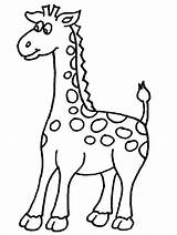 Coloring Giraffe Baby Cute sketch template