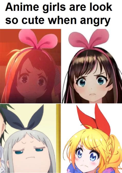 angry anime girl meme otaku wallpaper
