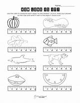 Measurement Worksheet Ruler Metric Scales sketch template