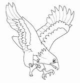 Coloring Kids Pages Eagle Attack Prey sketch template