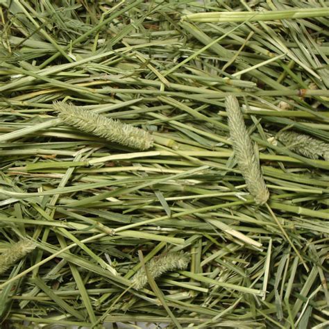 browns pet food extreme natural timothy hay
