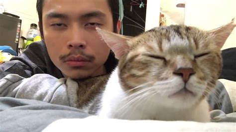 asian guy with cat dancing to drake hotline bling youtube