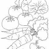 Coloring Pages Vegetable Baskets sketch template