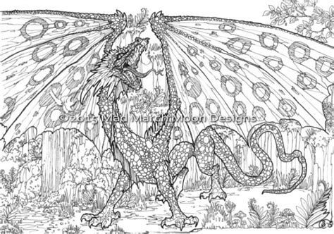 dragon coloring pages  adults  printable lpc