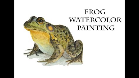 watercolor frog painting  beginners yeni baslayanlara kolay