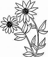 Eyed Coloring Pages Peas Getcolorings Awesome sketch template