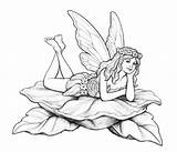 Fairy Coloring Pages Adults Legends Myths Leaves Color Magical Adult Creatures Printable Print Fantasy Printables Colouring Drawing Beautiful Line Flowers sketch template