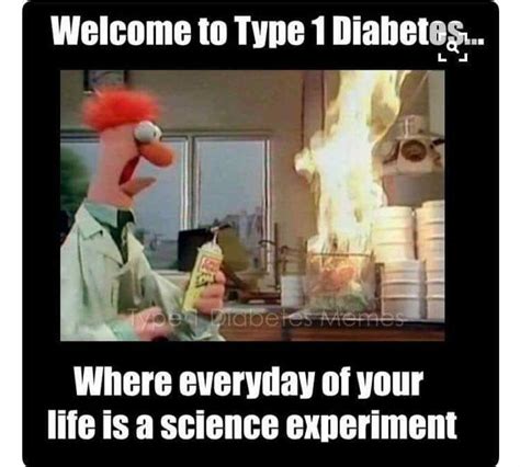 pin  vanessa eberhart  td life diabetes memes sesame street memes diabetes