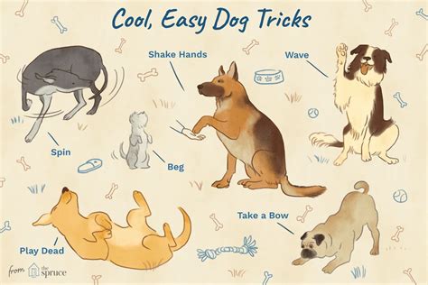 fun  easy tricks   teach  dog dog hacks dog tricks easy dogs