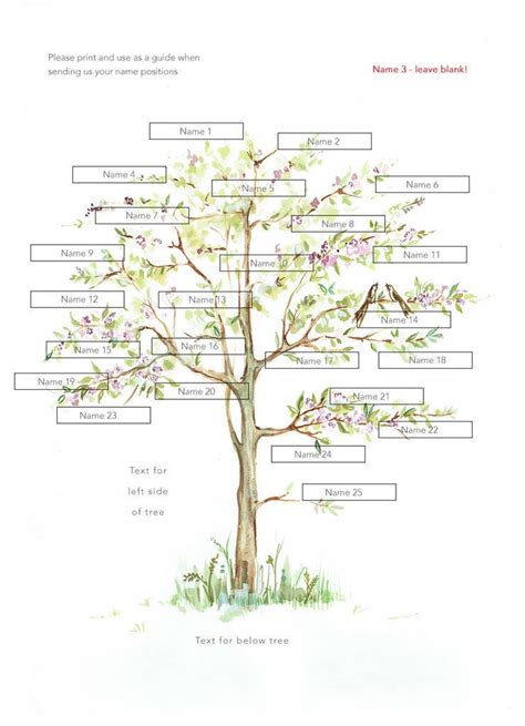 modern calligraphy family tree