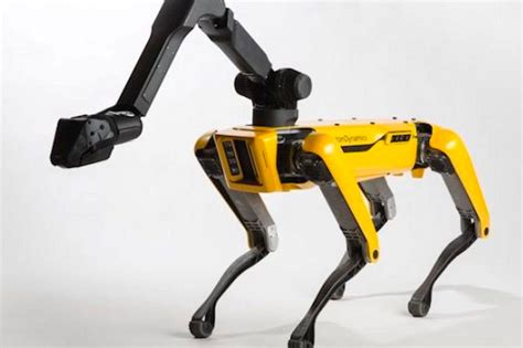 spot robot dog helps doctors remotely triage covid  patients