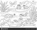 Coloring Wetland Landscape Animals Vector Drawing Depositphotos Water Cane Nature sketch template