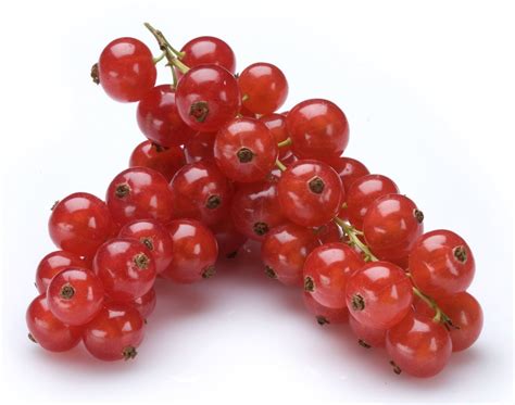 red currants assortment special fruit