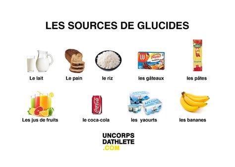 les glucides le guide pour tout comprendre