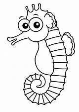 Seahorse Outline Printable Coloring Pages Drawing Getdrawings sketch template