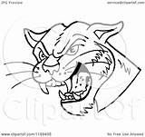 Head Cougar Cartoon Hissing Clipart Royalty Vector Lafftoon Illustration sketch template