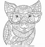 Coloring Pages Sheets Mandala Animal Adult Adults Book Pig Colouring Zen Color Printable Books Printables Mandalas Cute Para Shutterstock Activities sketch template