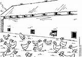 Chicken Coop Coloring sketch template
