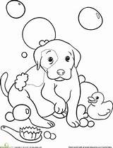 Coloring Bath Bubble Doggy Color Drawing Pages Education Printable Choose Board Getdrawings sketch template