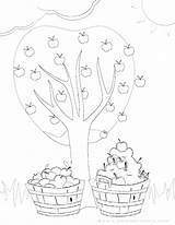 Picking Orchard Print Getcolorings sketch template