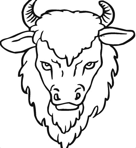 buffalo coloring pages png  file   mockups