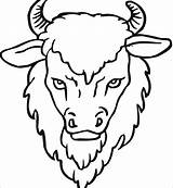 Buffalo Coloring Head Drawing Pages Bison Clipart Yak Outline Face African Animals Cape Printable Kids Drawings Color Sketch Horns Template sketch template